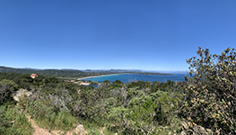 Collobrières
